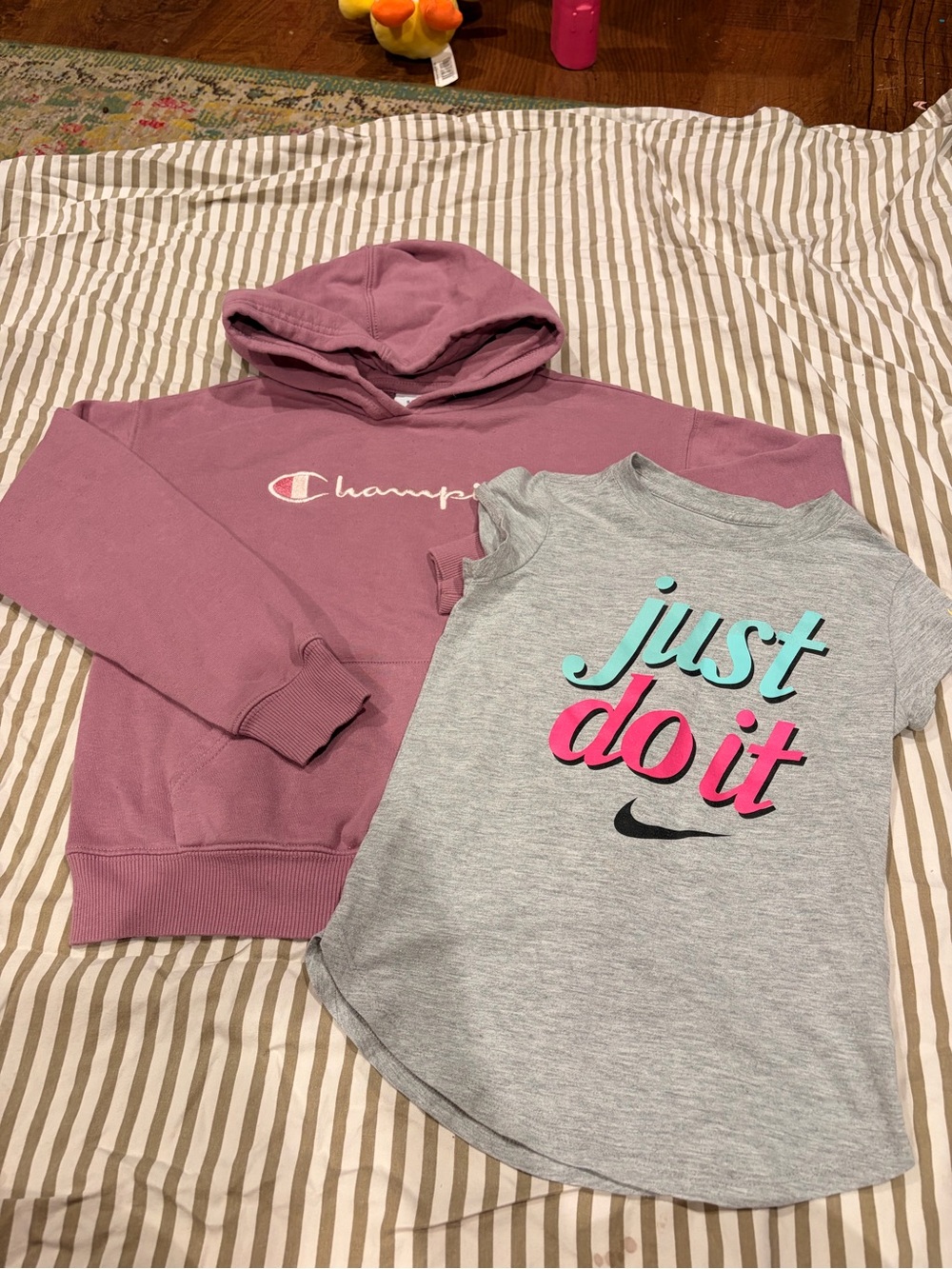 Champion Mauve Hoodie with Gray Tee 2-Pack
